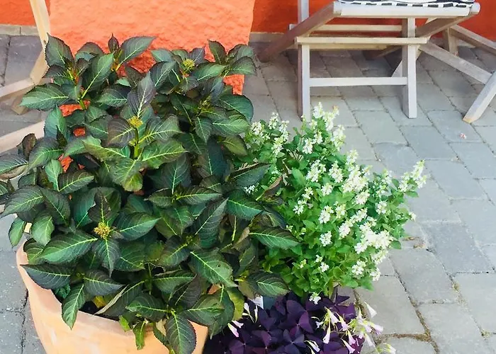 Apartamento Badepensionat Sandloppen -
