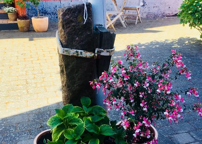 Badepensionat Sandloppen - Apartamento *